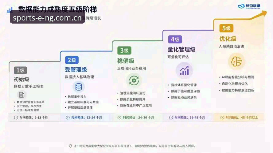 2026NG体育娱乐平台赛事数据替代站详解——一场关于数据与体验的理性选择